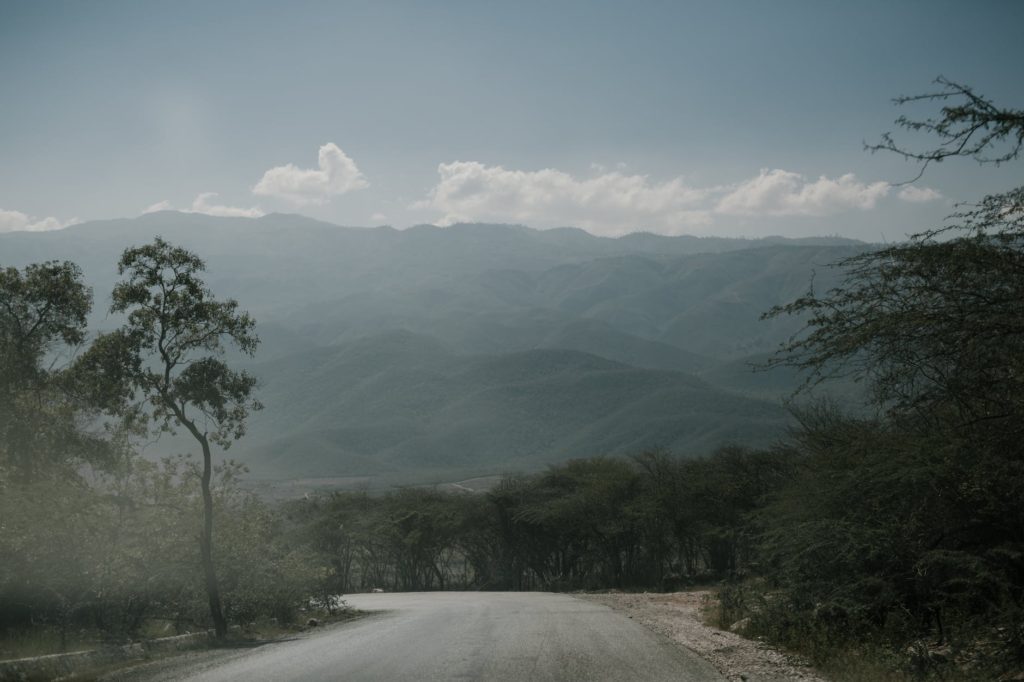 asphalt roadway through green plants towards hills