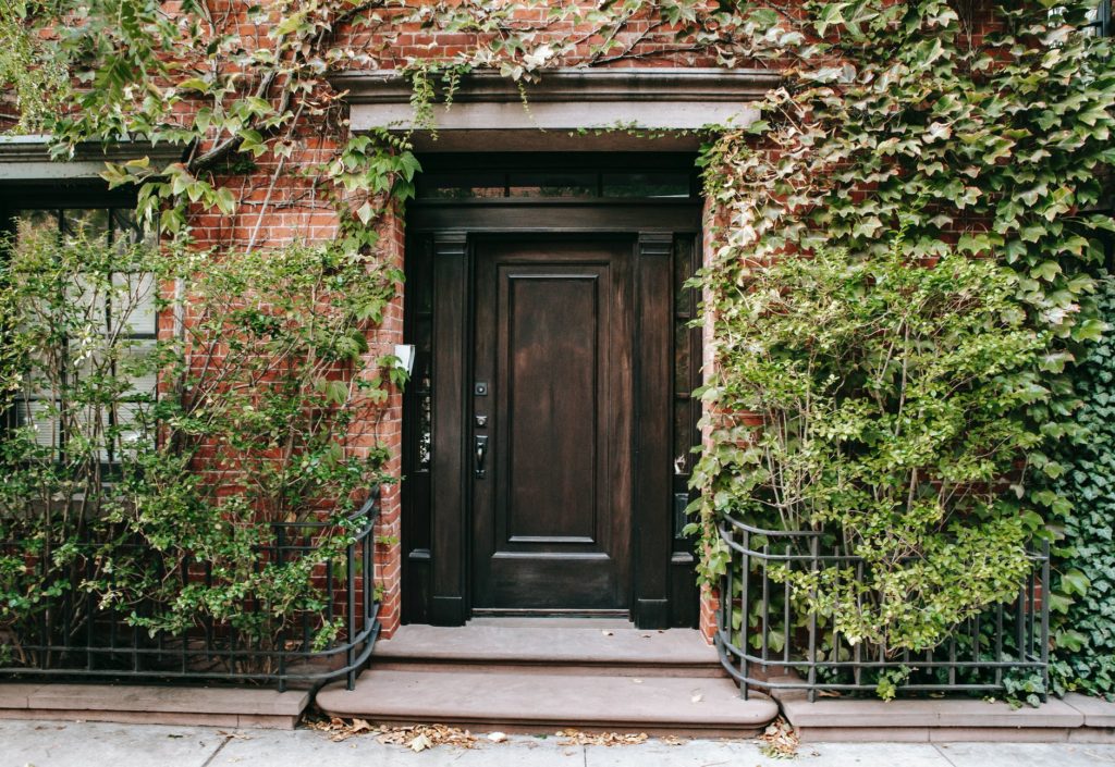 overgrown house with old door