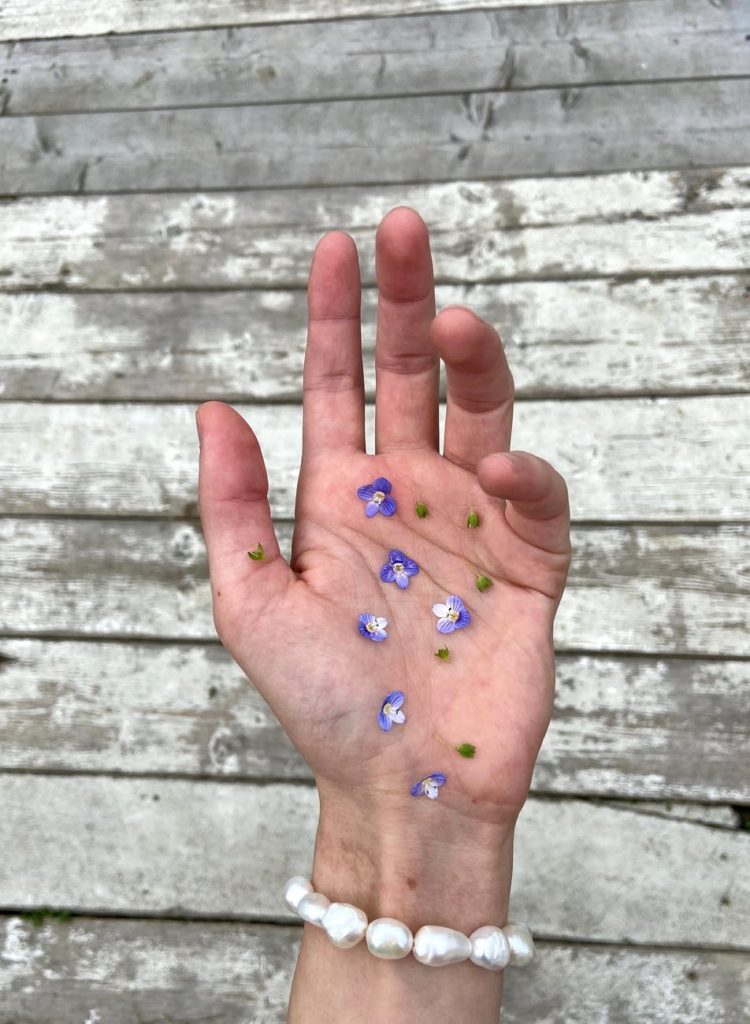 crop faceless female hand with flower petals